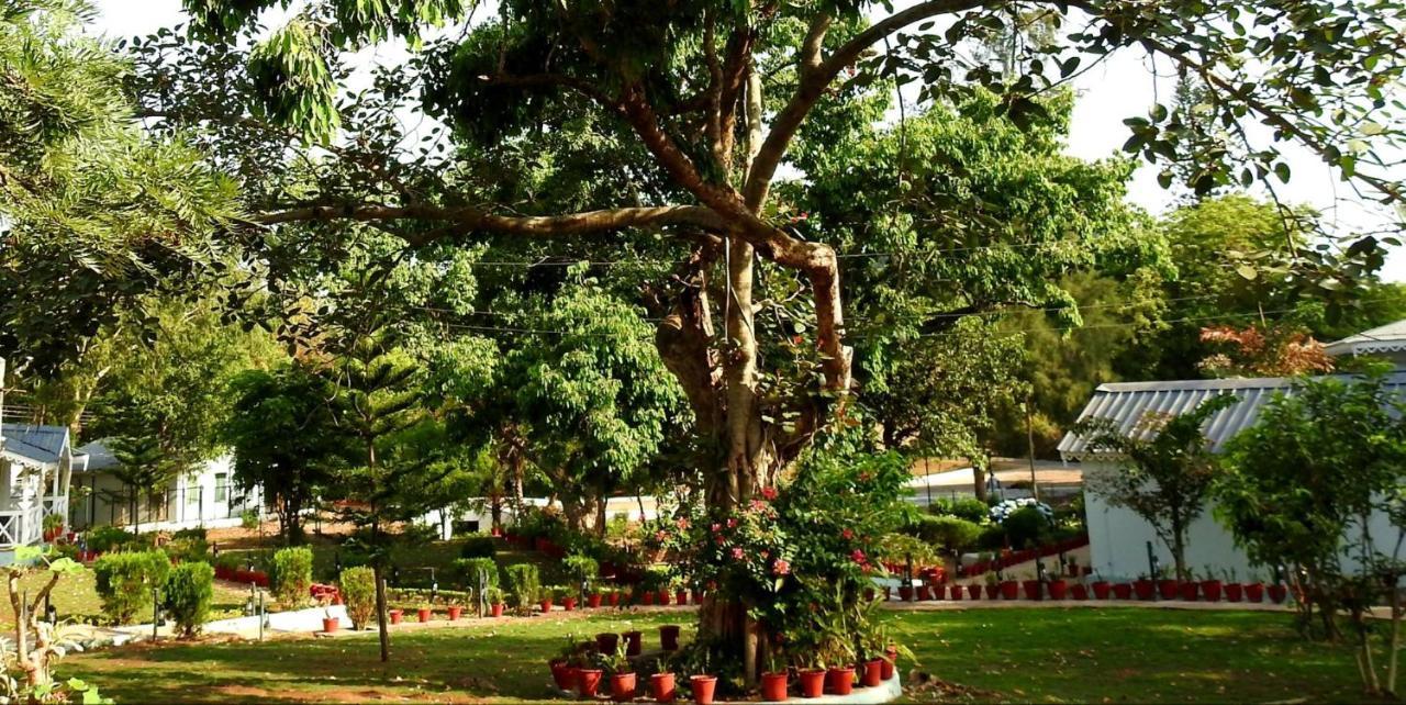 Greendale Resort Pachmarhi Exterior photo